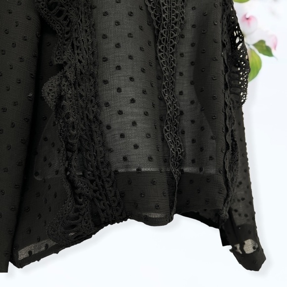 Sheer Blouse Long Sleeves - Picture 3 of 4